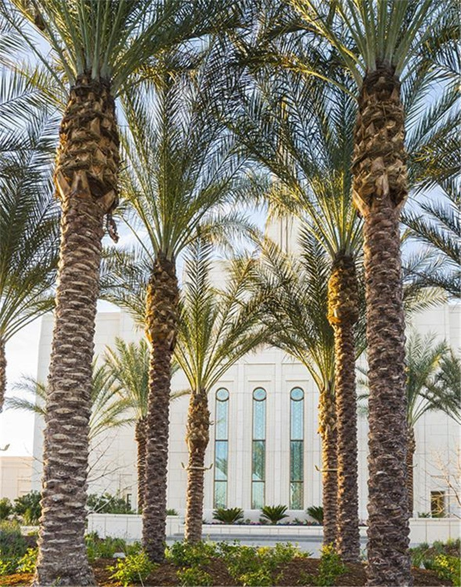 Gilbert Temple 04 Gallery Wrap