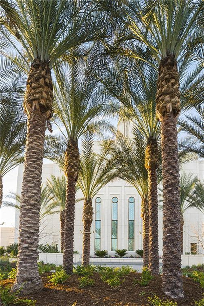 Gilbert Temple 04 Gallery Wrap