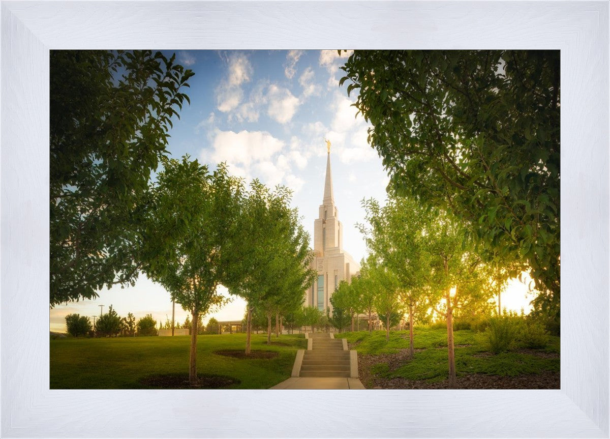 Oquirrh Mountain Golden Glow