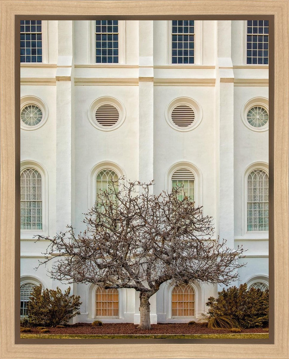 St George Temple 02 Gallery Wrap