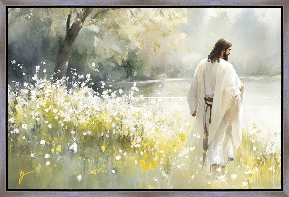 Life Anew