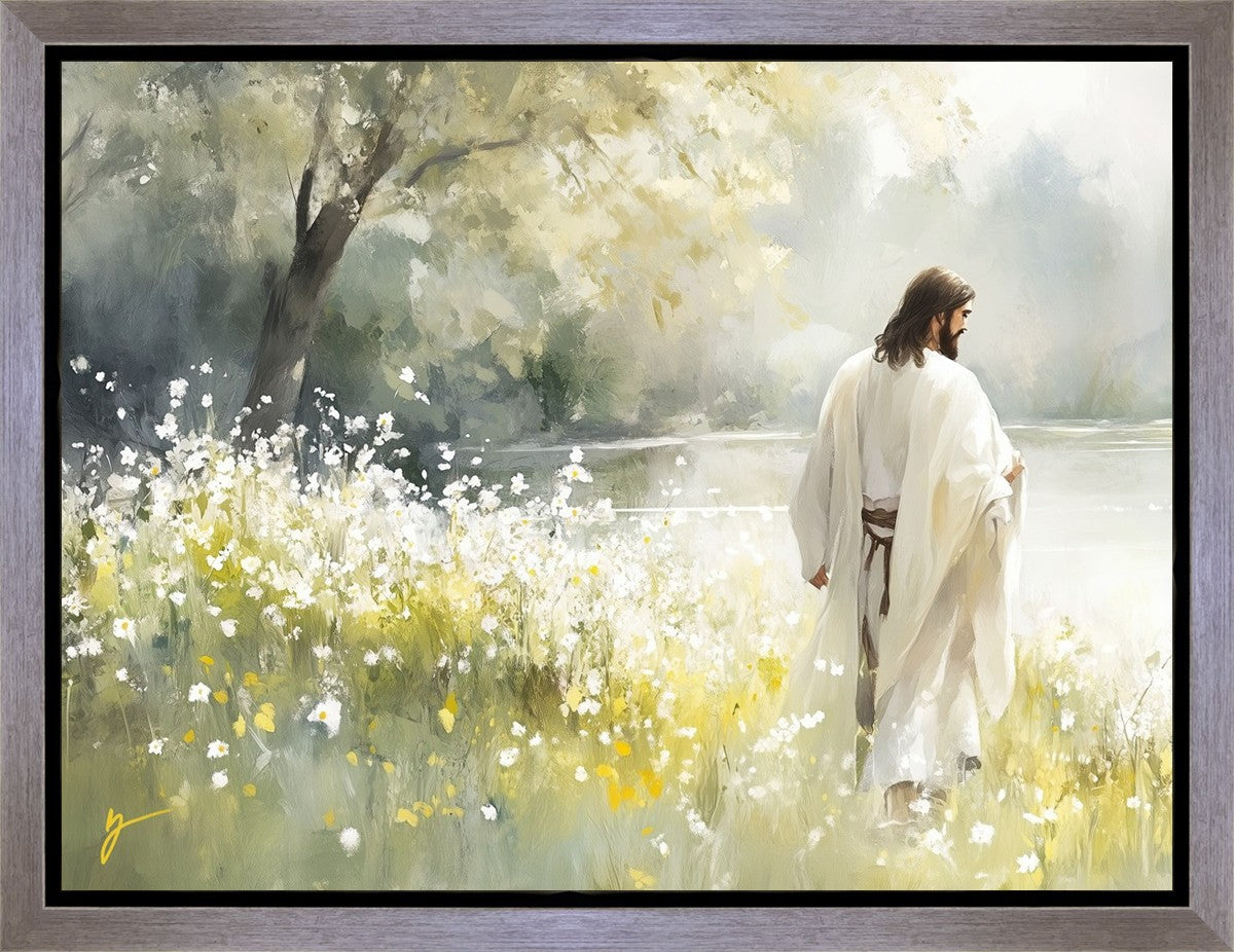 Life Anew