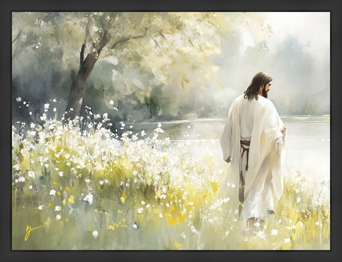 Life Anew