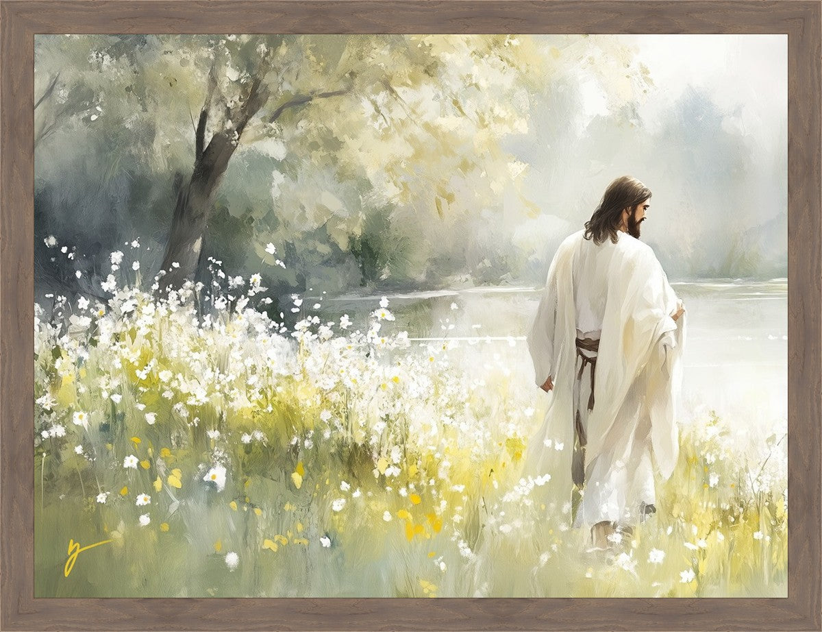 Life Anew