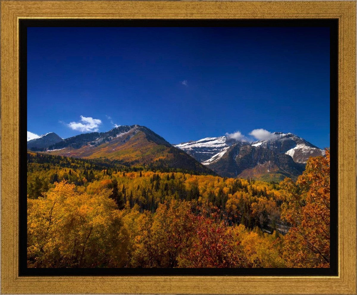 Back Side Of Timpanogos Gallery Wrap