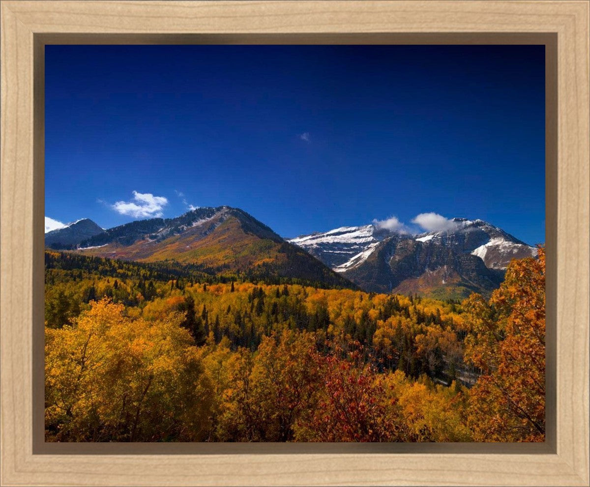 Back Side Of Timpanogos Gallery Wrap