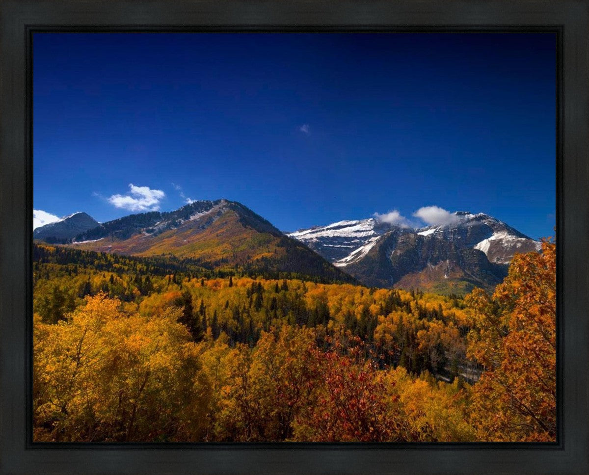 Back Side Of Timpanogos Gallery Wrap