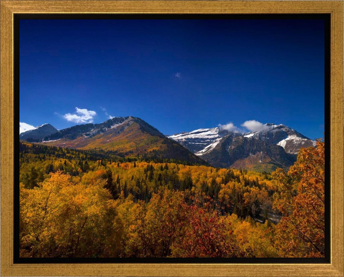 Back Side Of Timpanogos Gallery Wrap