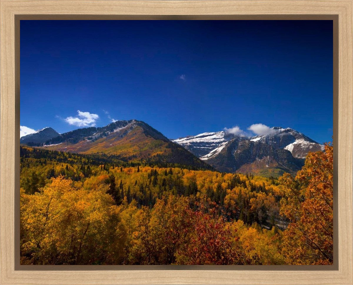 Back Side Of Timpanogos Gallery Wrap