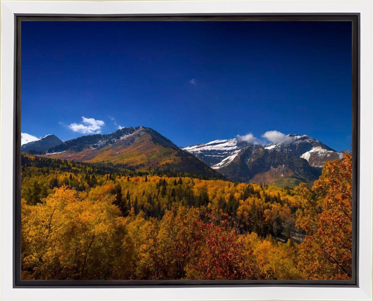 Back Side Of Timpanogos Gallery Wrap