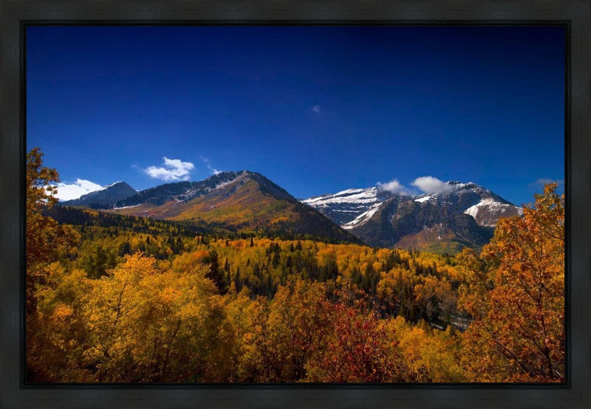 Back Side Of Timpanogos Gallery Wrap