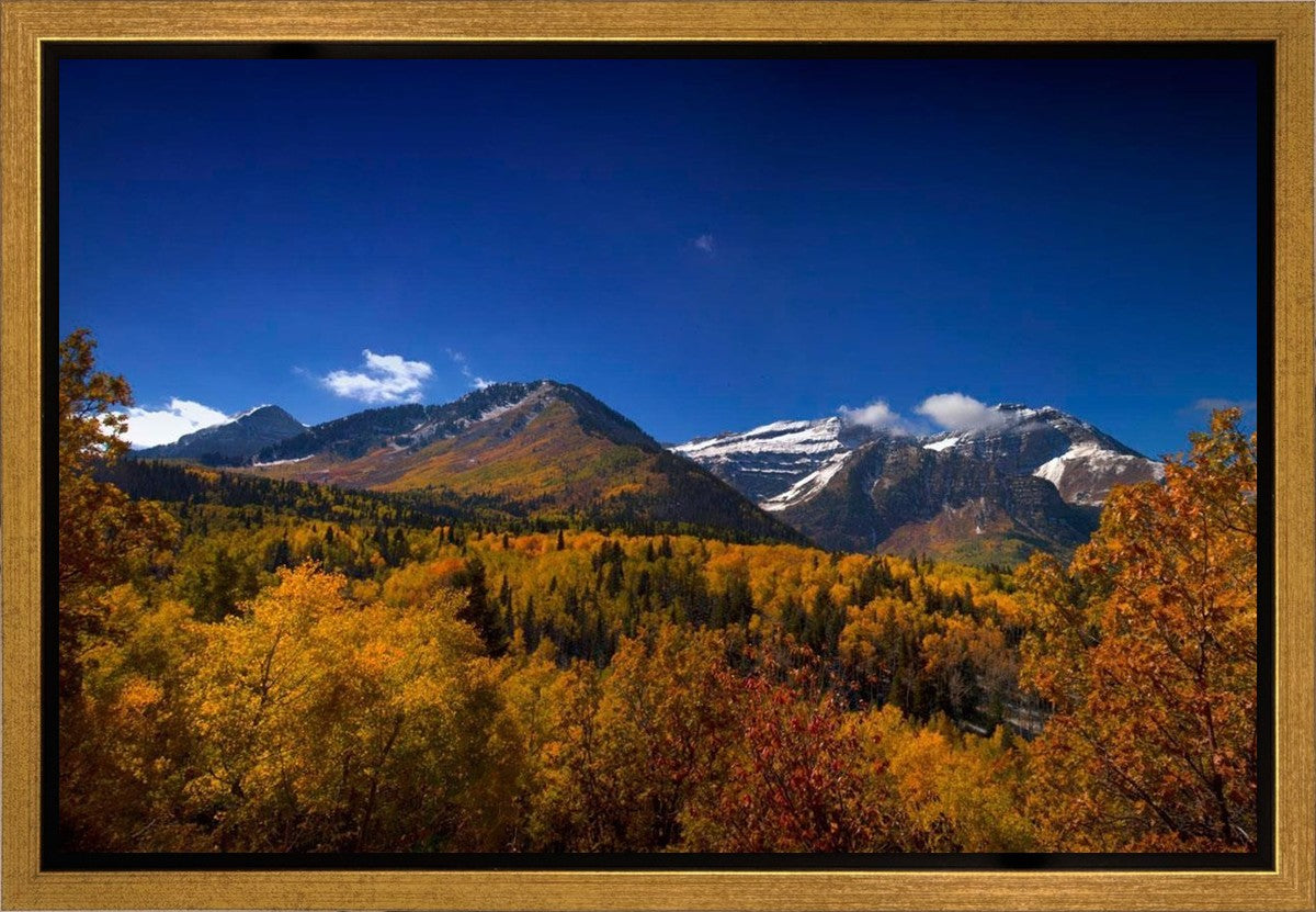 Back Side Of Timpanogos Gallery Wrap