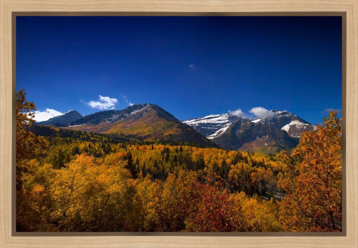 Back Side Of Timpanogos Gallery Wrap