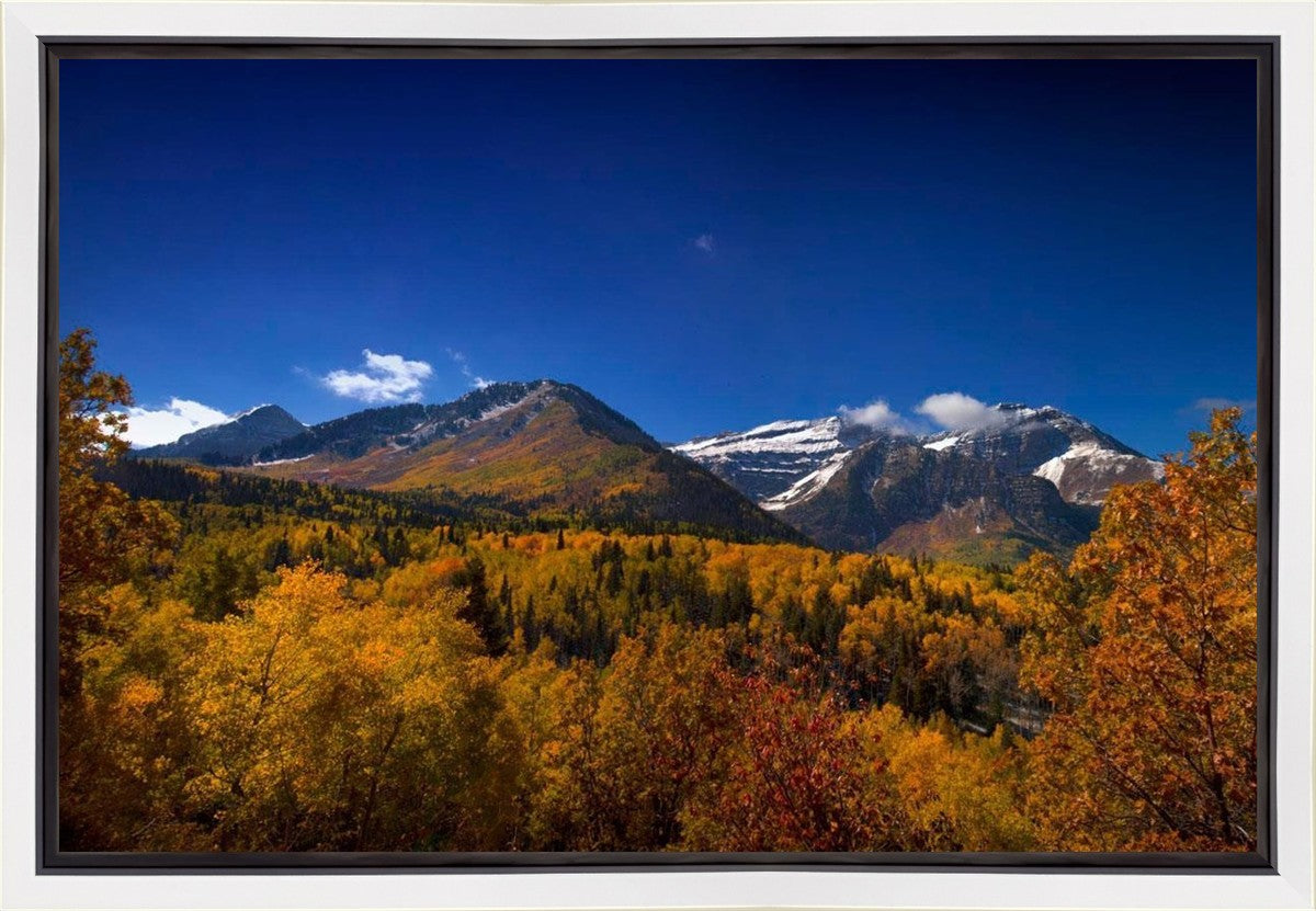 Back Side Of Timpanogos Gallery Wrap