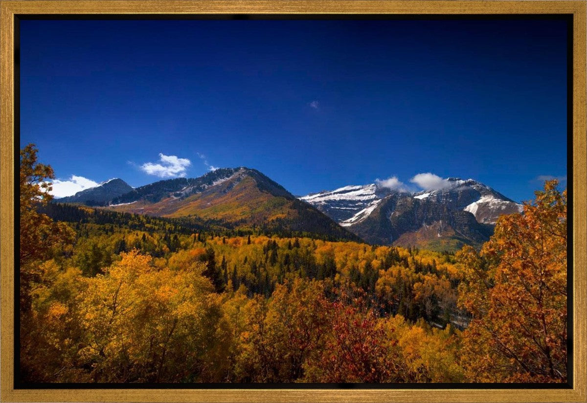 Back Side Of Timpanogos Gallery Wrap