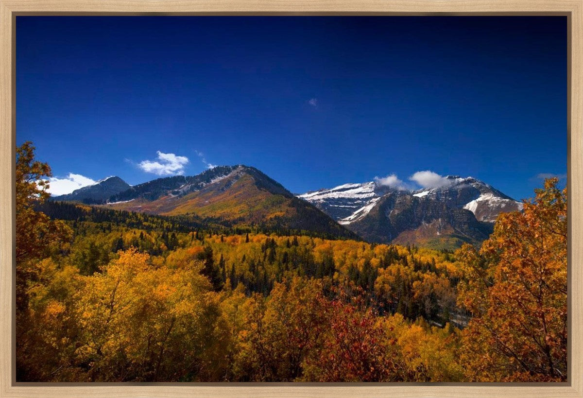 Back Side Of Timpanogos Gallery Wrap