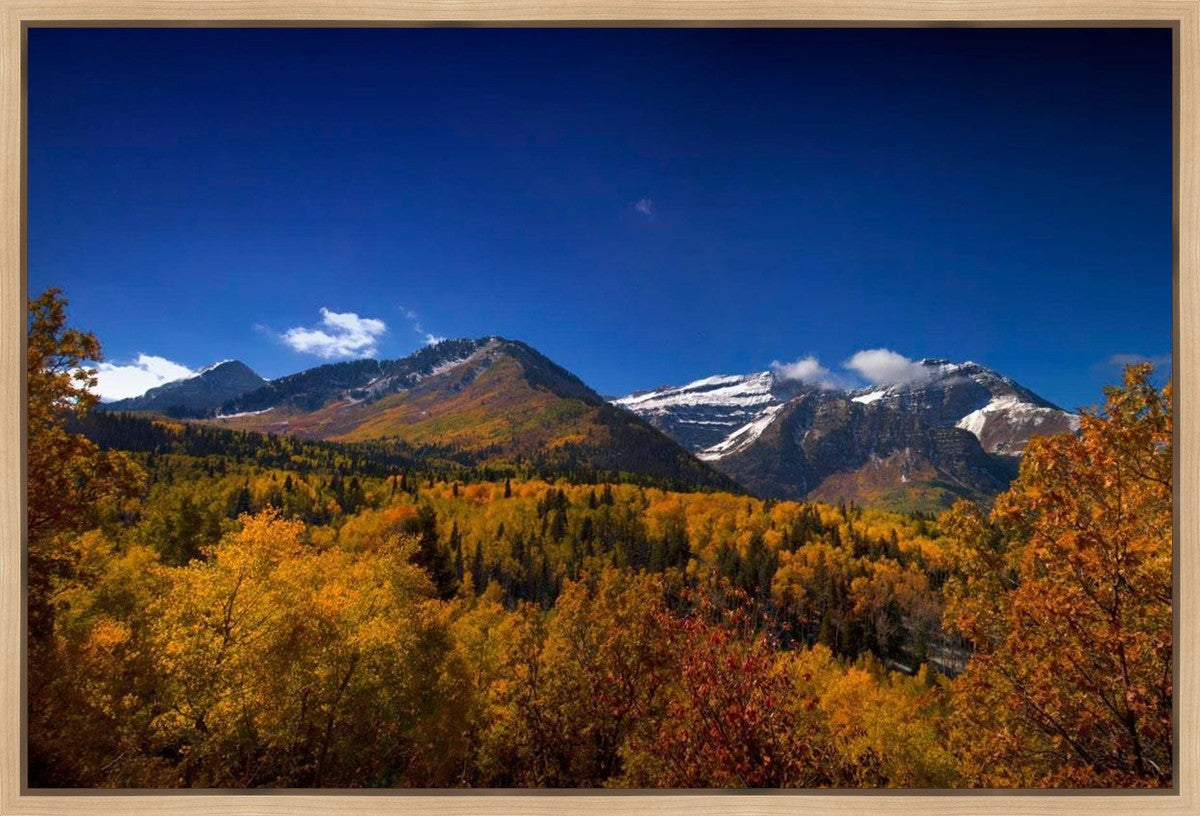 Back Side Of Timpanogos Gallery Wrap