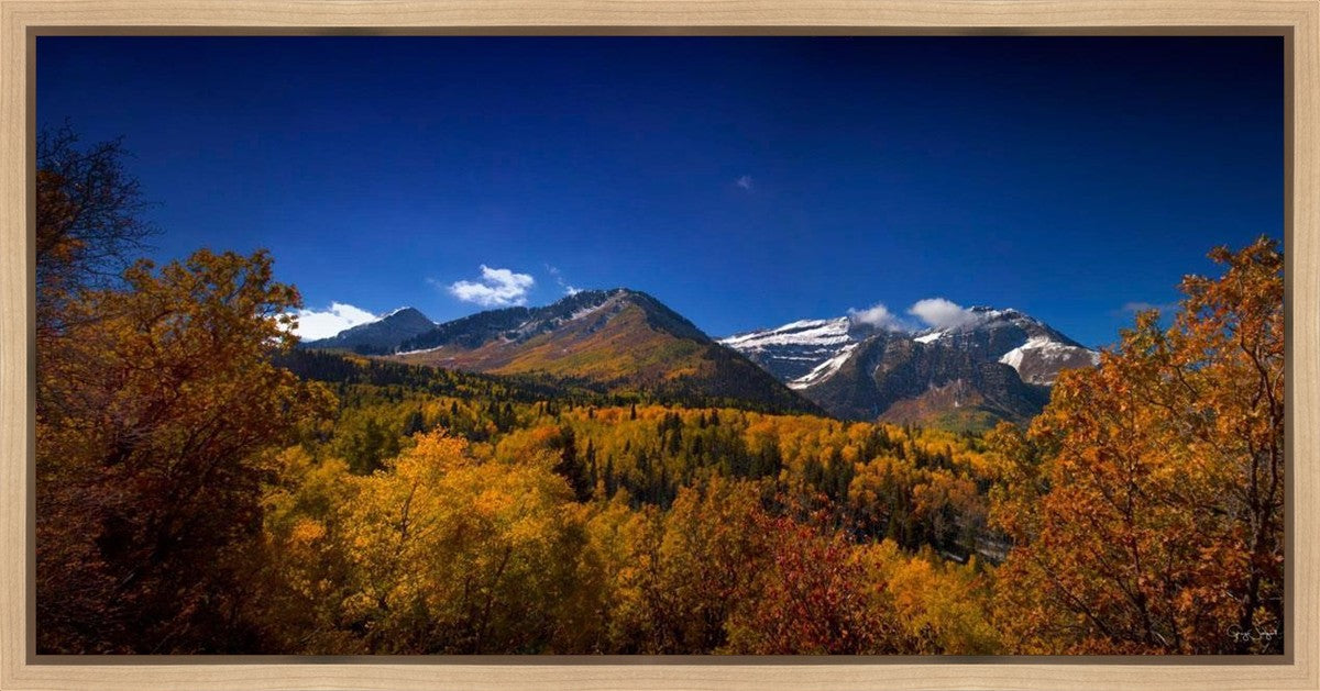 Back Side Of Timpanogos Gallery Wrap