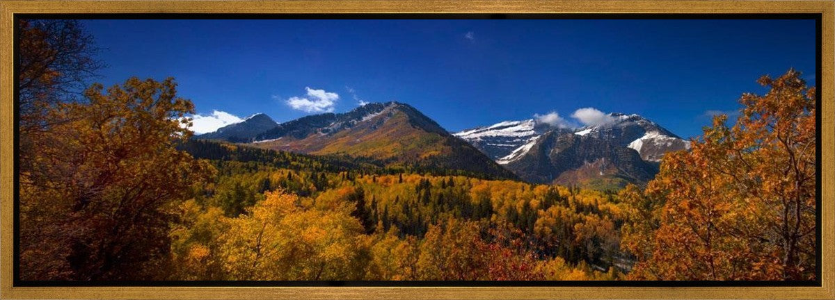 Back Side Of Timpanogos Gallery Wrap
