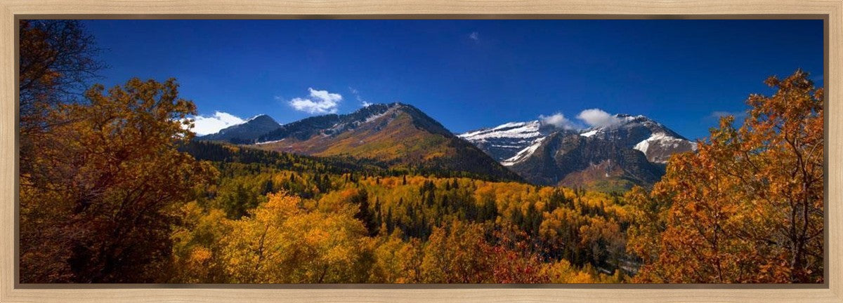 Back Side Of Timpanogos Gallery Wrap