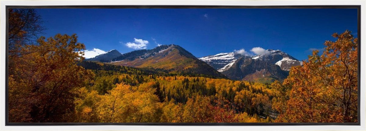 Back Side Of Timpanogos Gallery Wrap