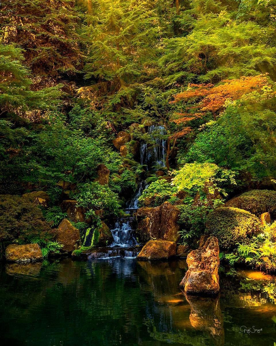 Secluded Pond Gallery Wrap