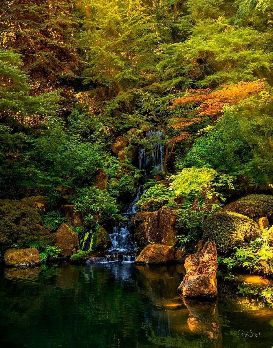 Secluded Pond Gallery Wrap