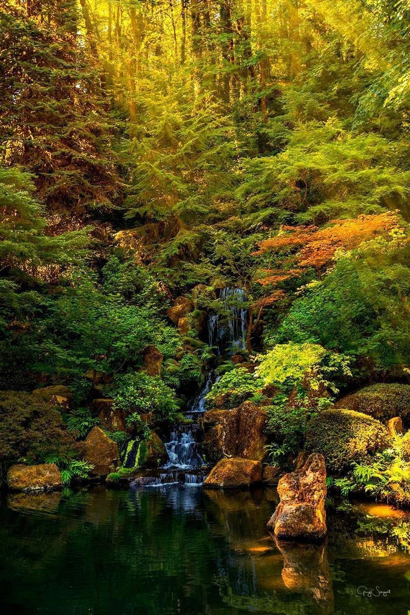 Secluded Pond Gallery Wrap