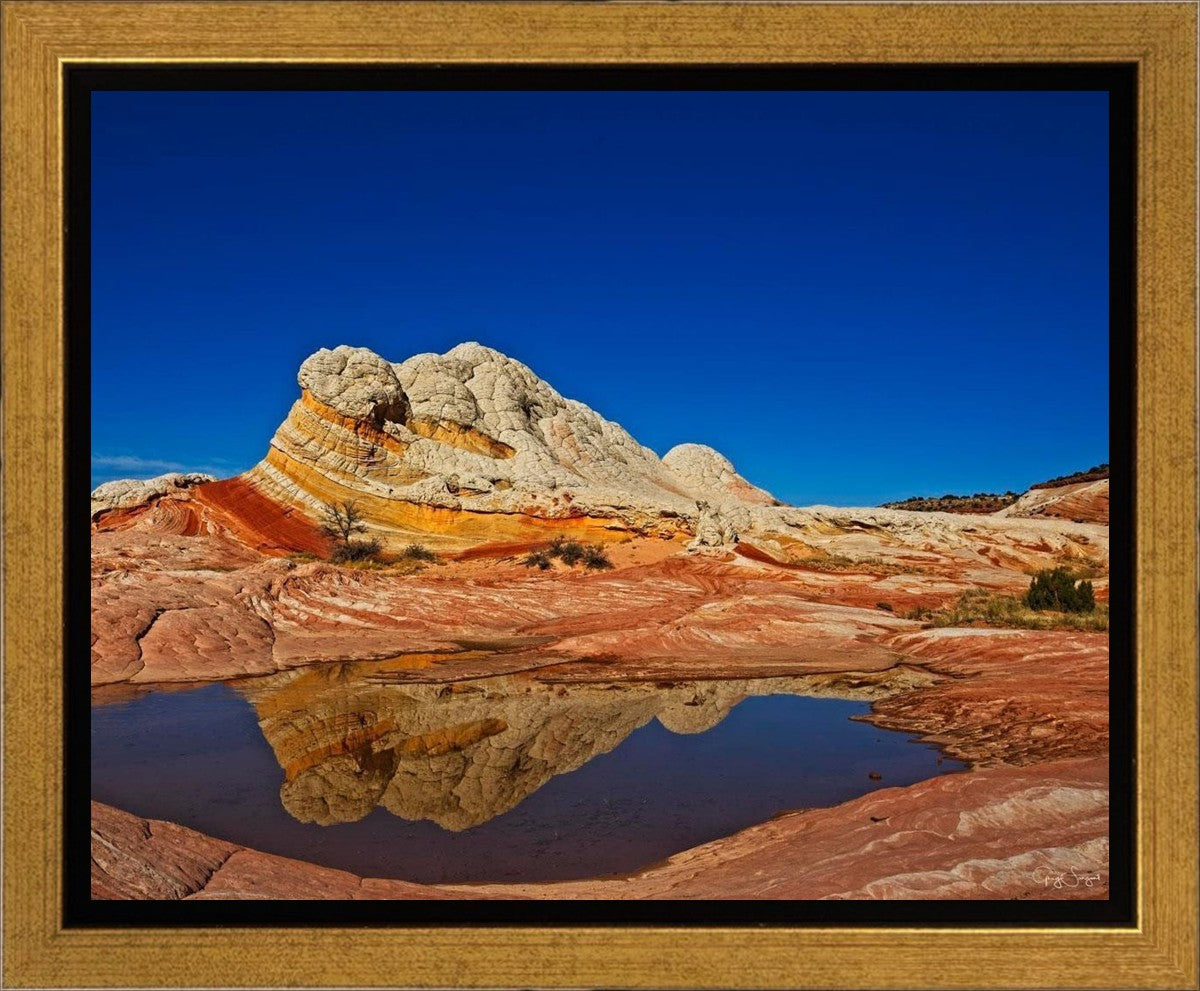 White Pocket Reflection Gallery Wrap