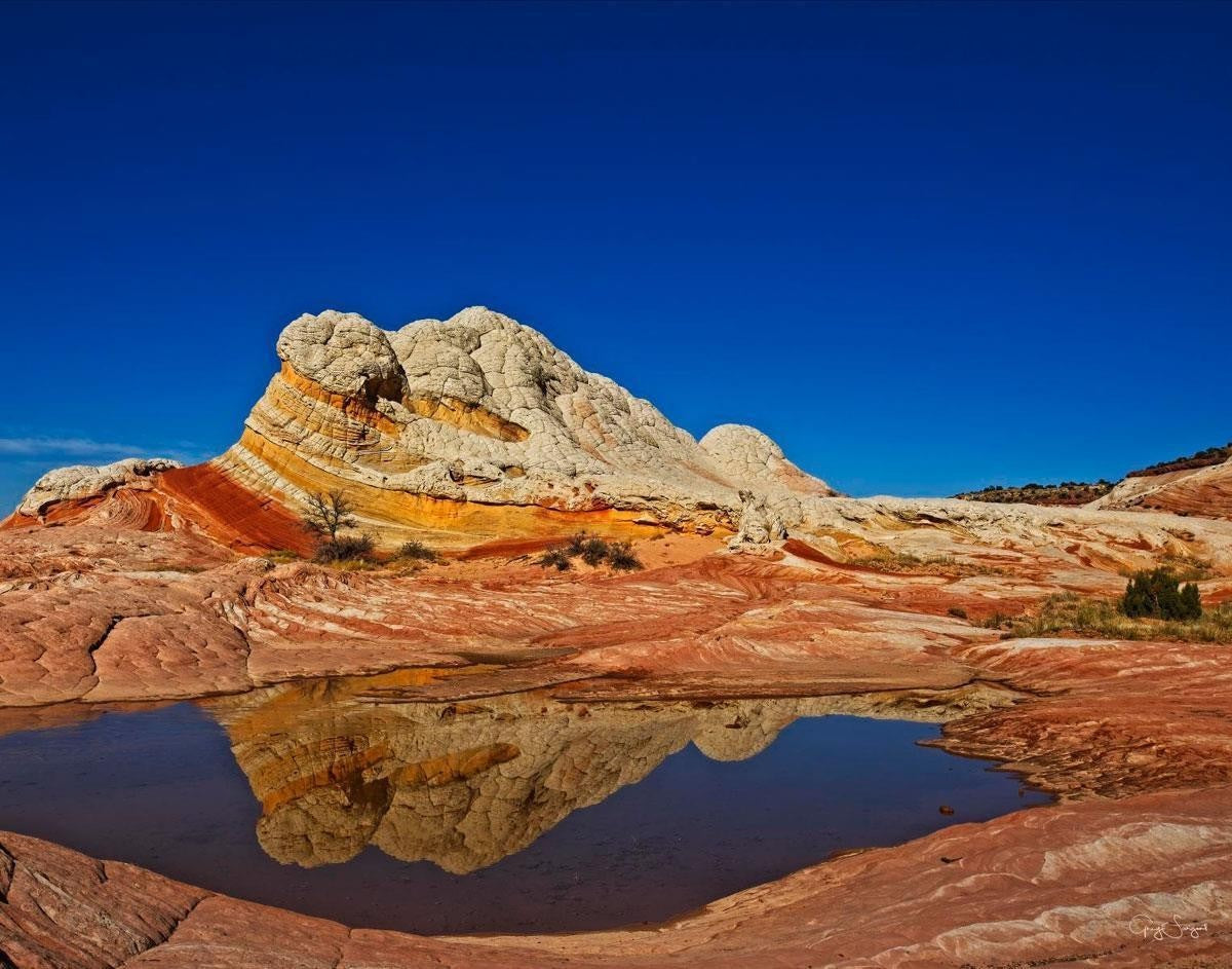 White Pocket Reflection Gallery Wrap