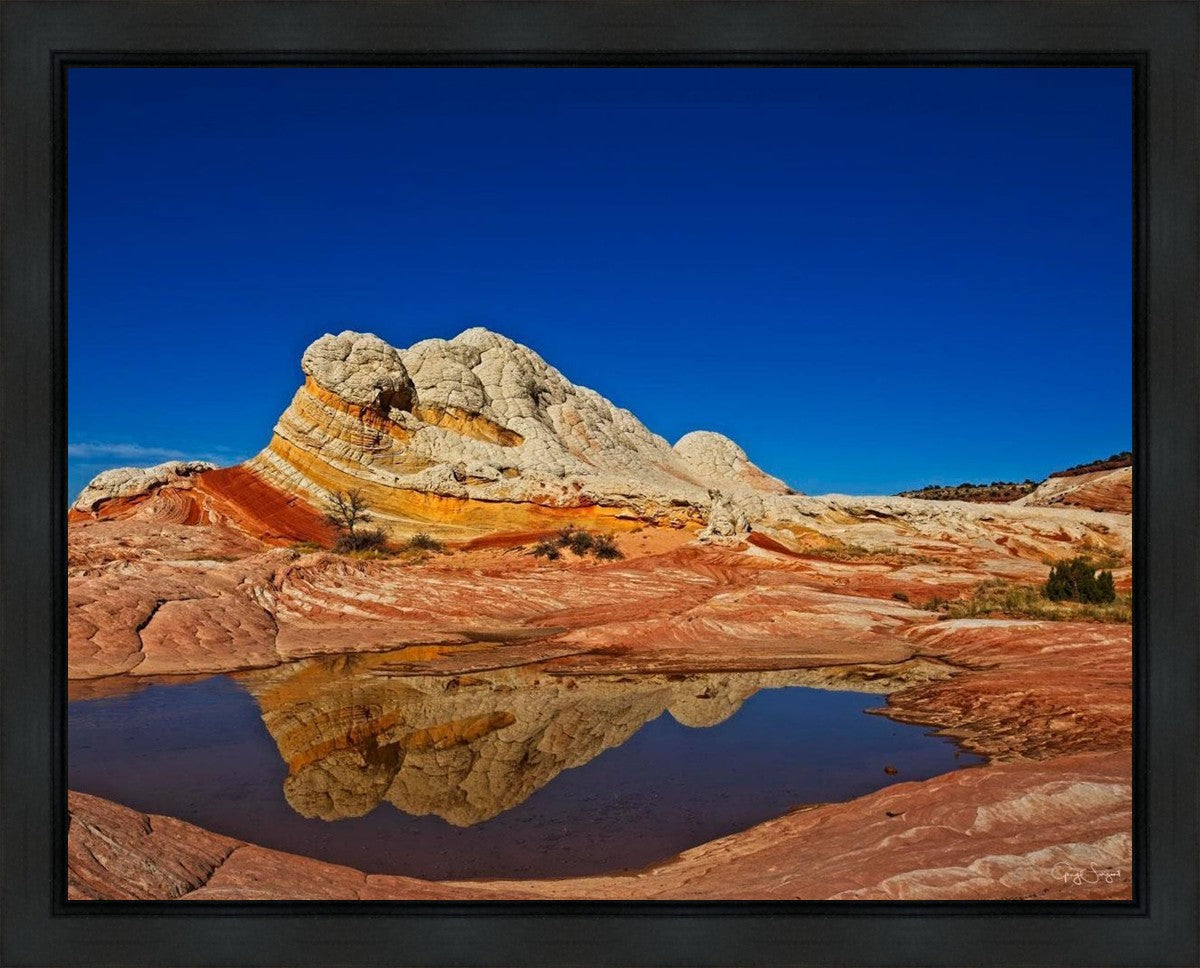 White Pocket Reflection Gallery Wrap