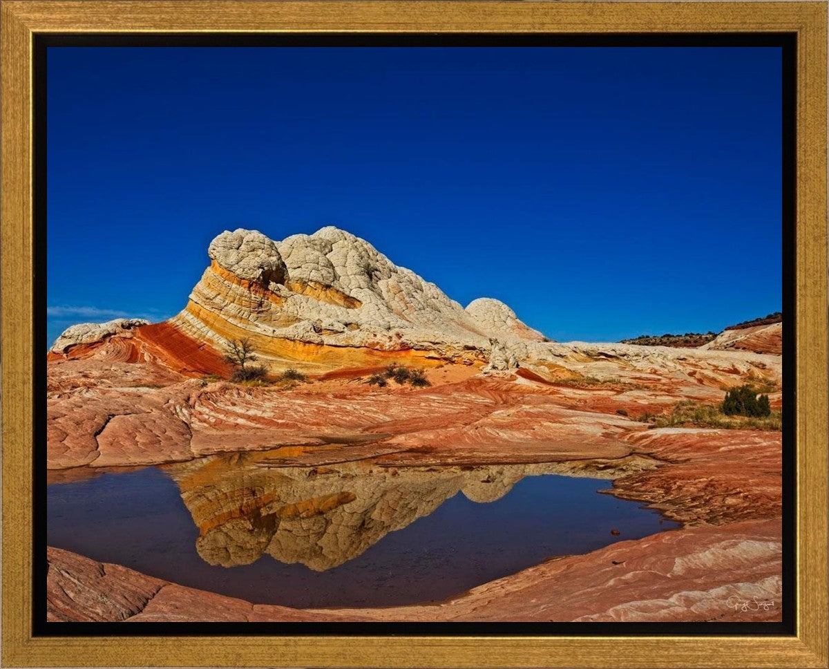 White Pocket Reflection Gallery Wrap