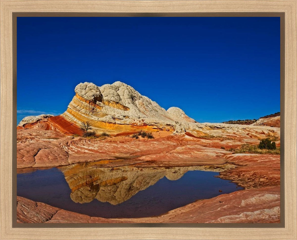 White Pocket Reflection Gallery Wrap