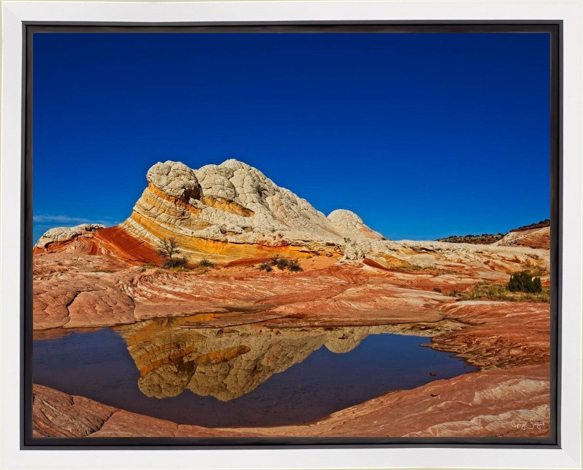 White Pocket Reflection Gallery Wrap