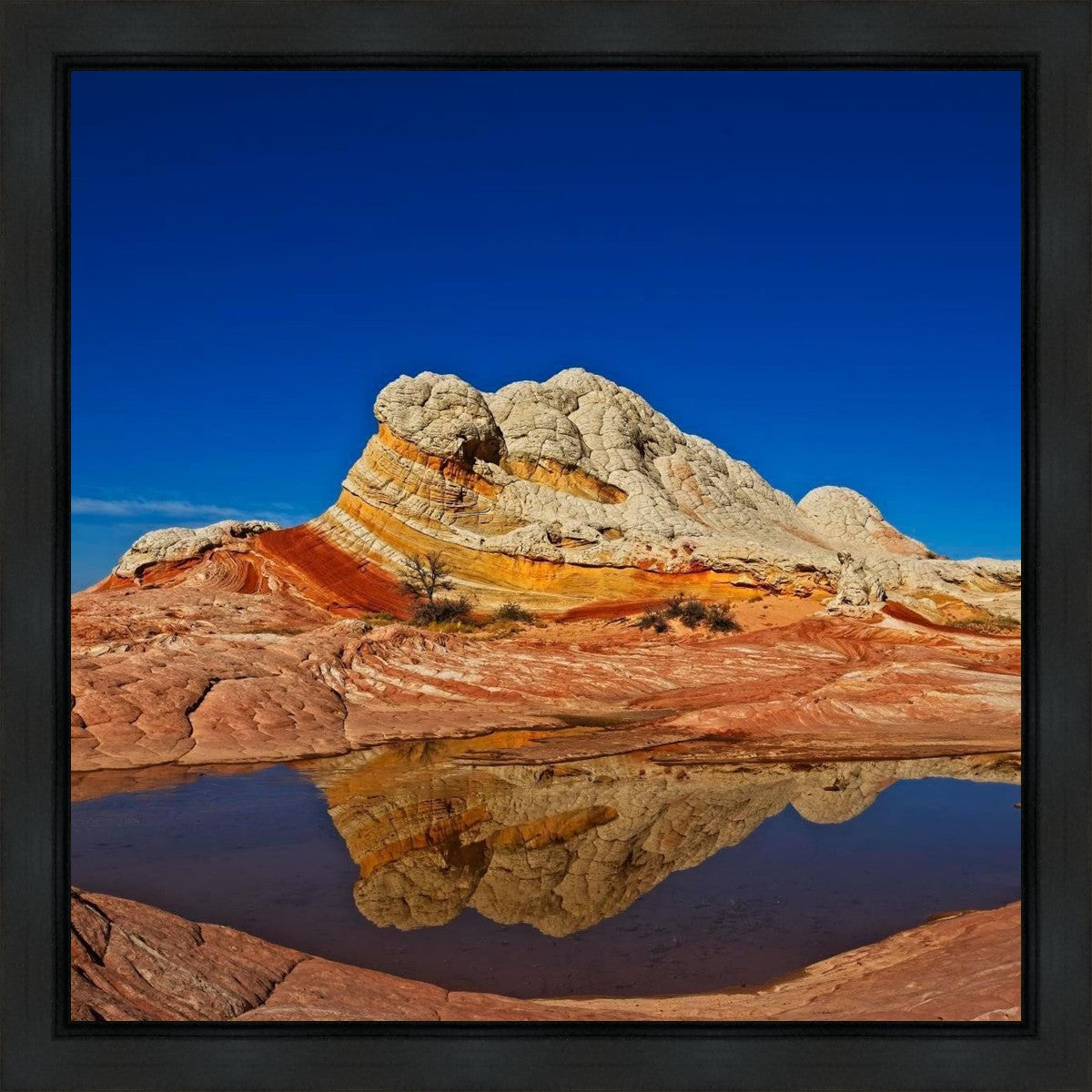 White Pocket Reflection Gallery Wrap