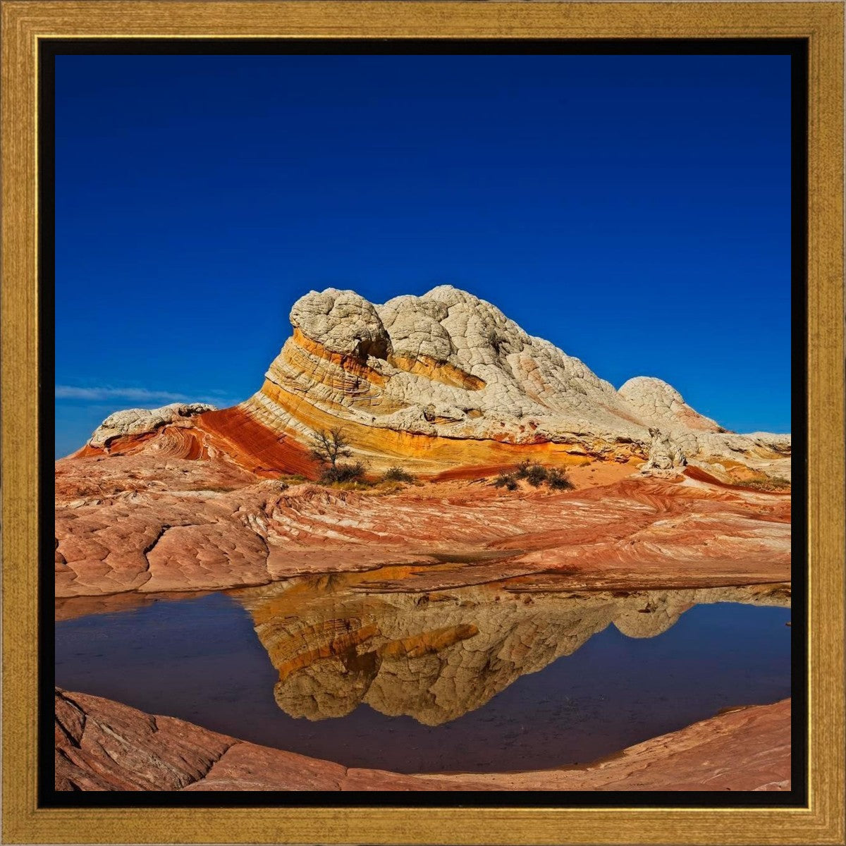 White Pocket Reflection Gallery Wrap