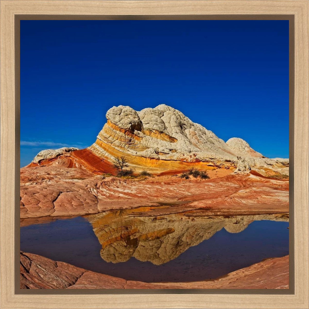 White Pocket Reflection Gallery Wrap