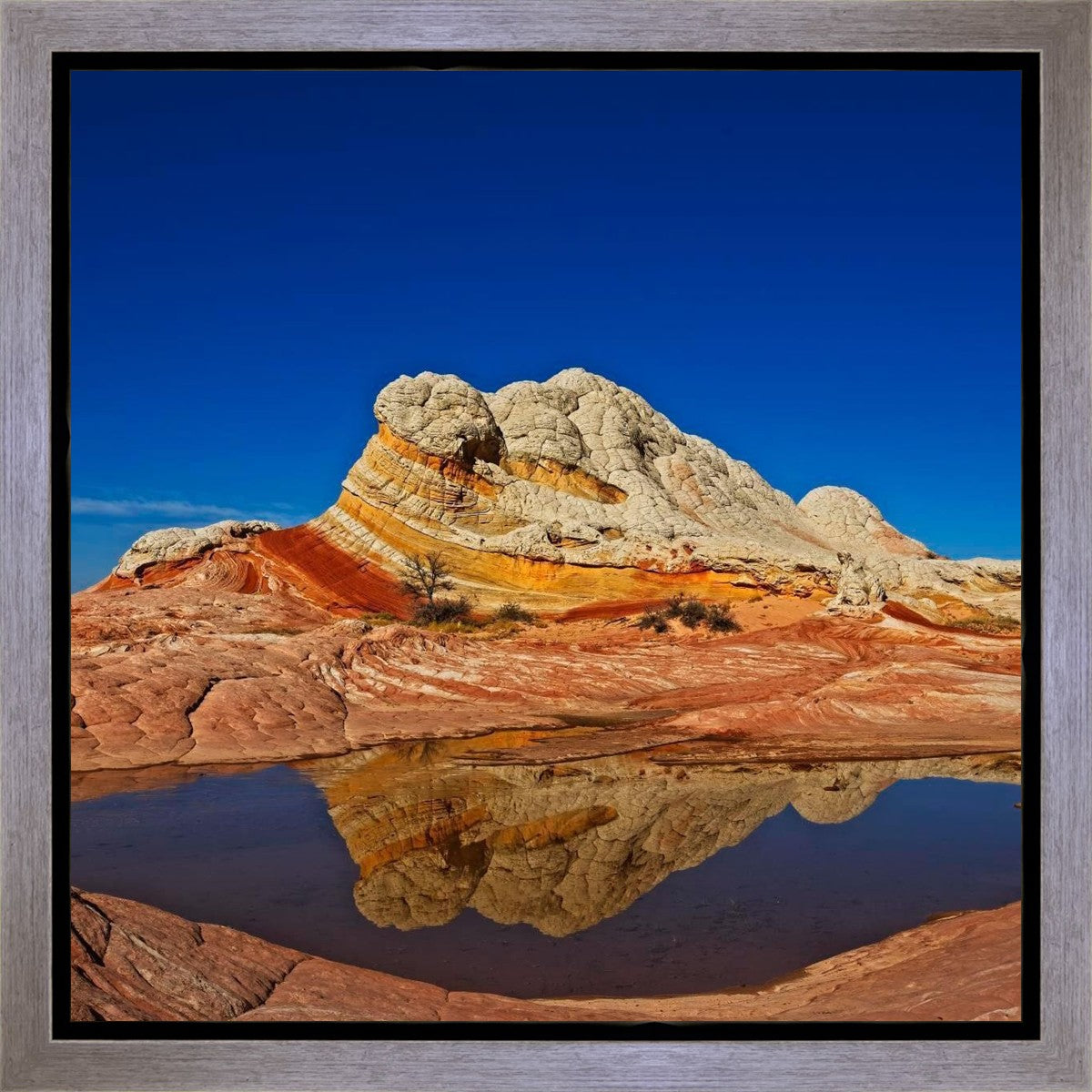 White Pocket Reflection Gallery Wrap