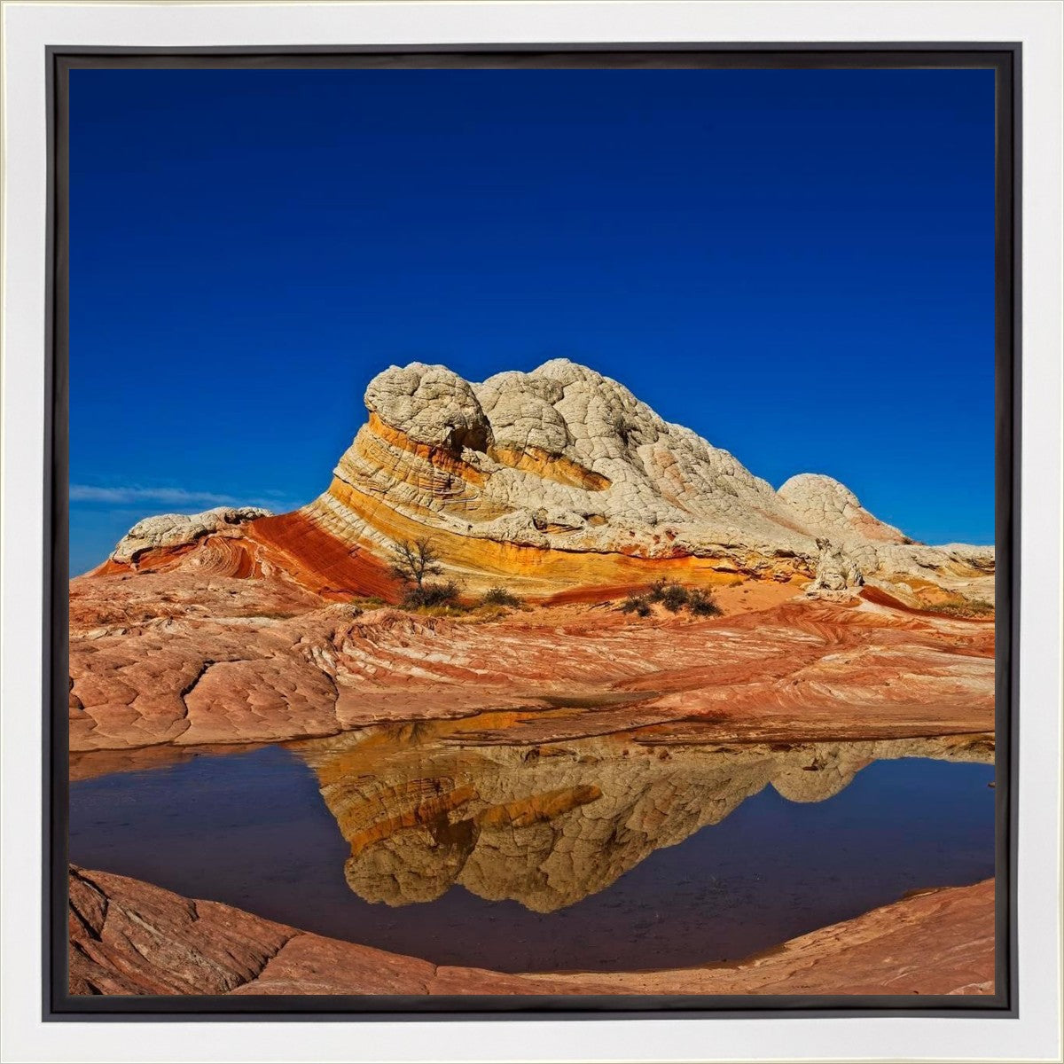 White Pocket Reflection Gallery Wrap