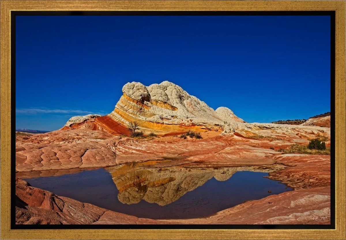White Pocket Reflection Gallery Wrap