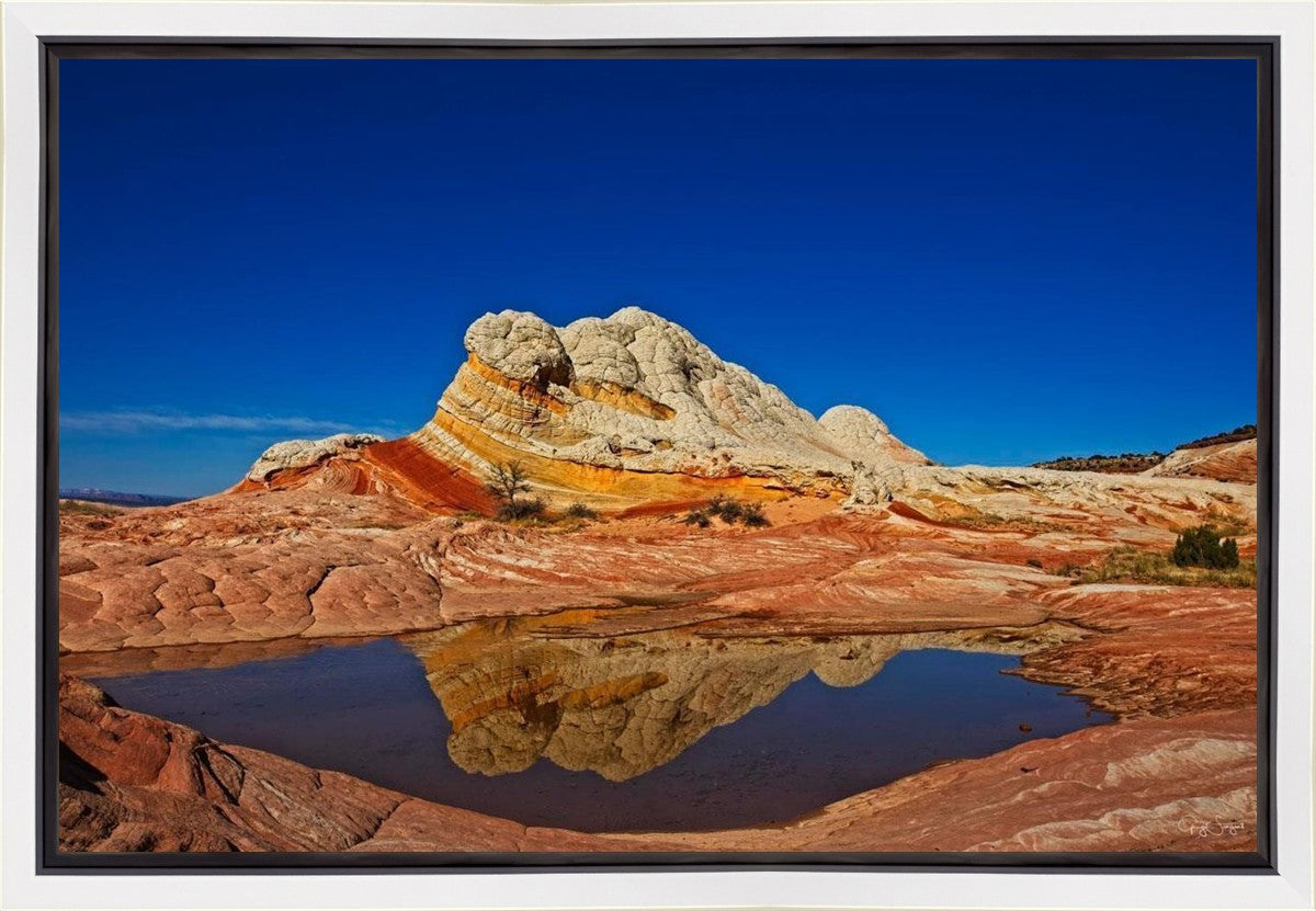 White Pocket Reflection Gallery Wrap