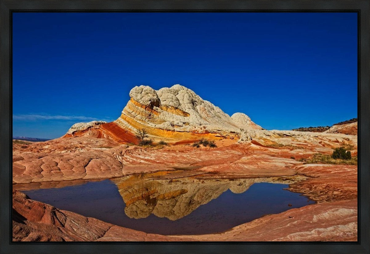 White Pocket Reflection Gallery Wrap