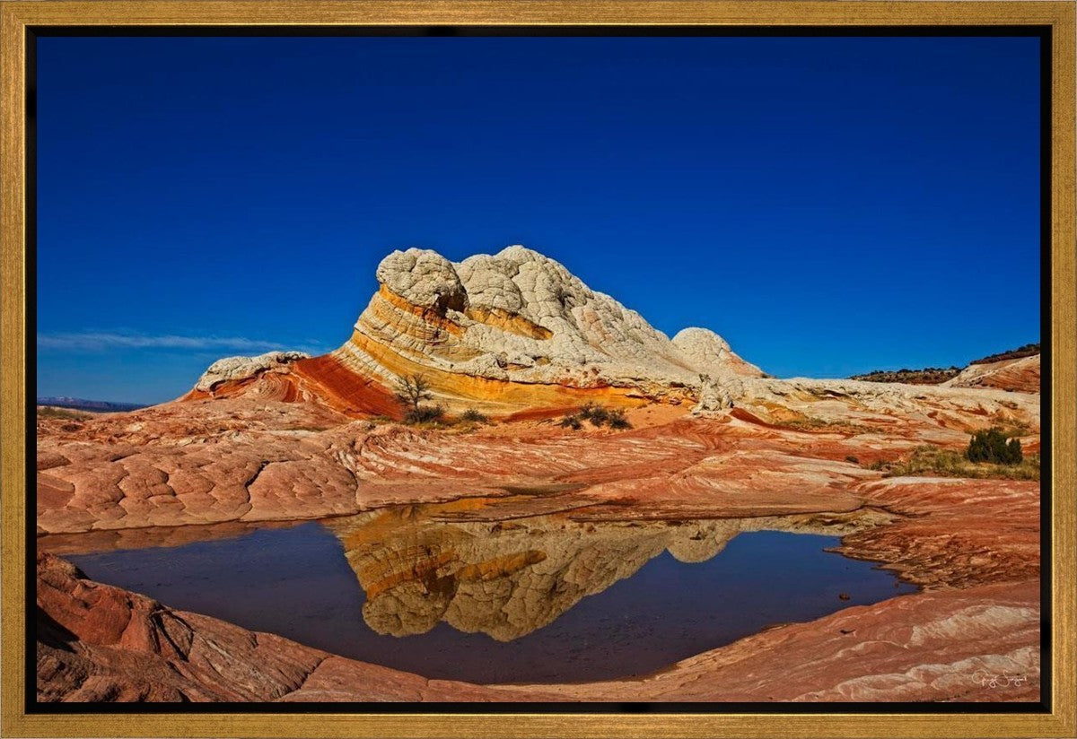 White Pocket Reflection Gallery Wrap
