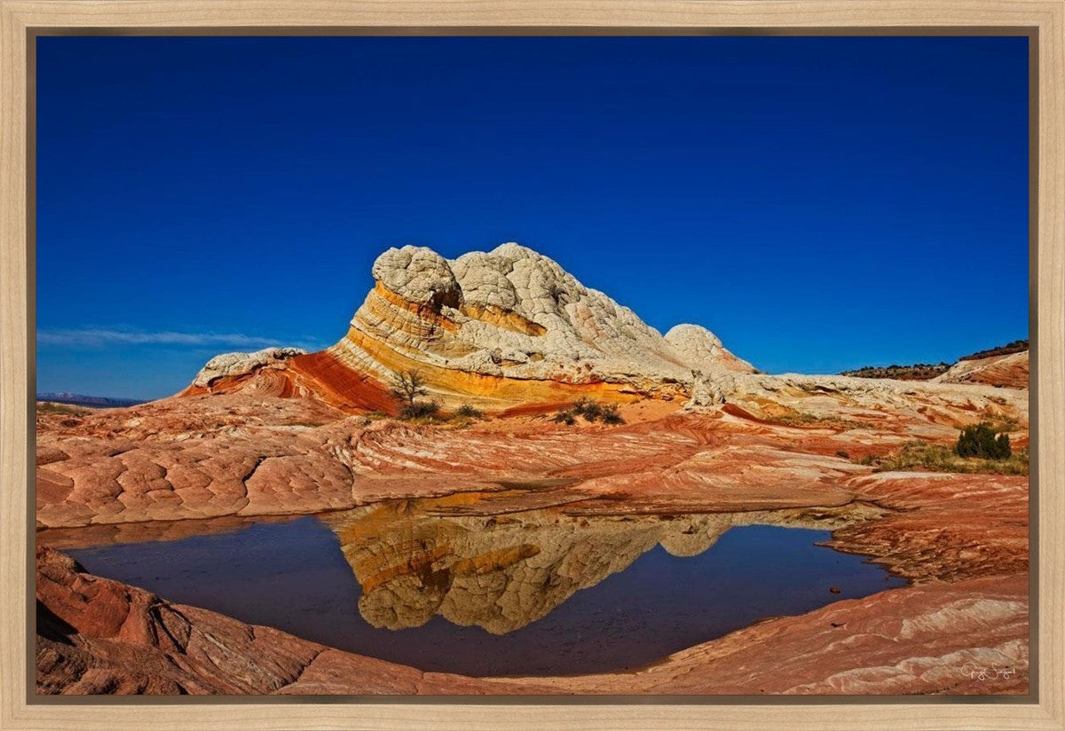 White Pocket Reflection Gallery Wrap