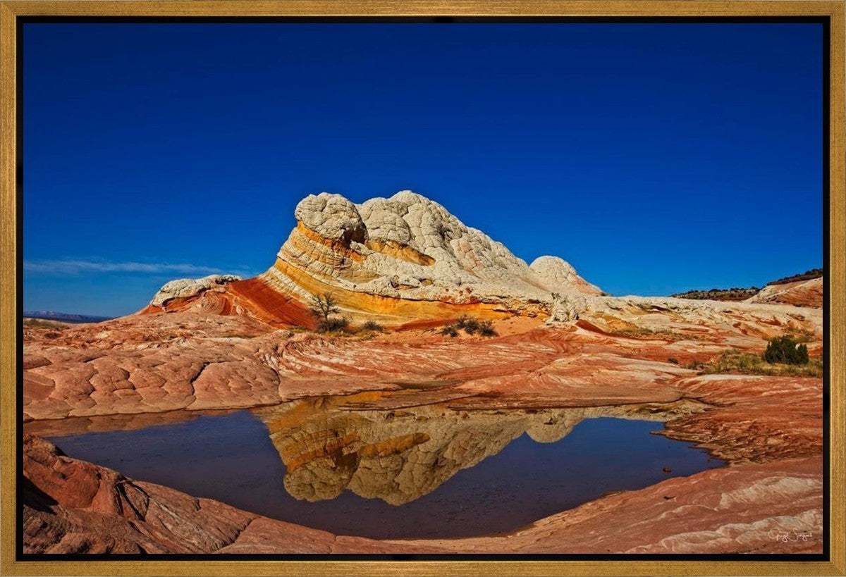 White Pocket Reflection Gallery Wrap