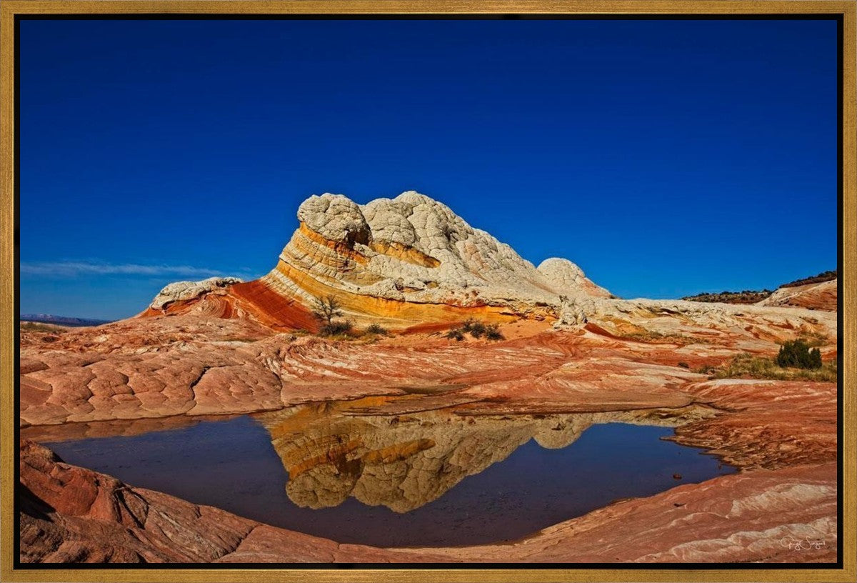 White Pocket Reflection Gallery Wrap