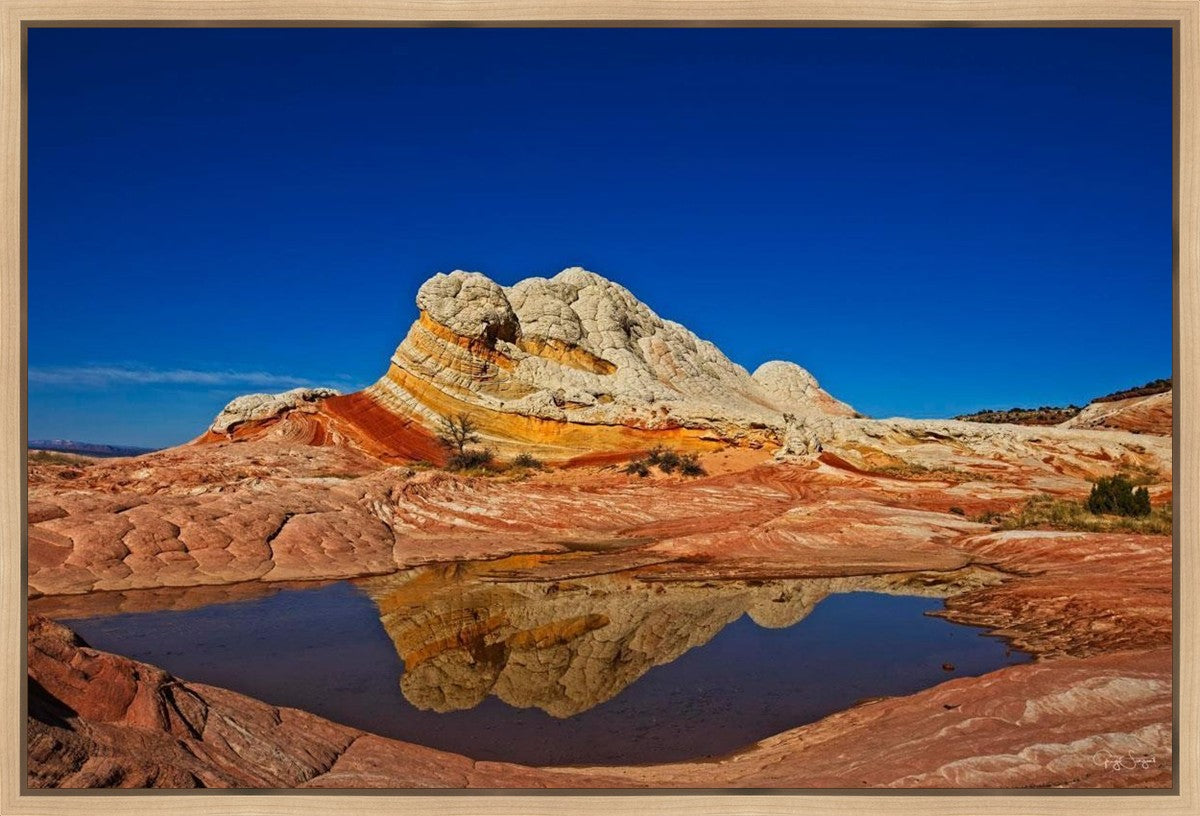 White Pocket Reflection Gallery Wrap
