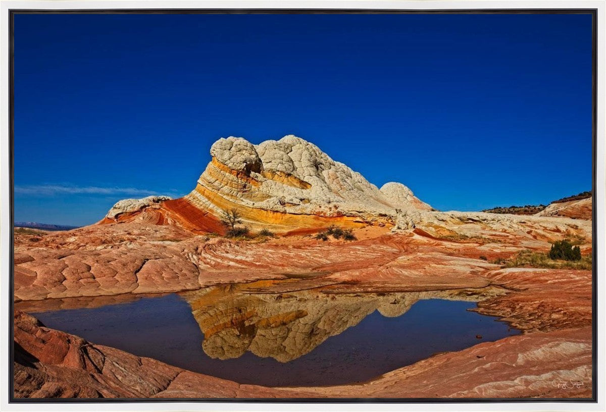 White Pocket Reflection Gallery Wrap