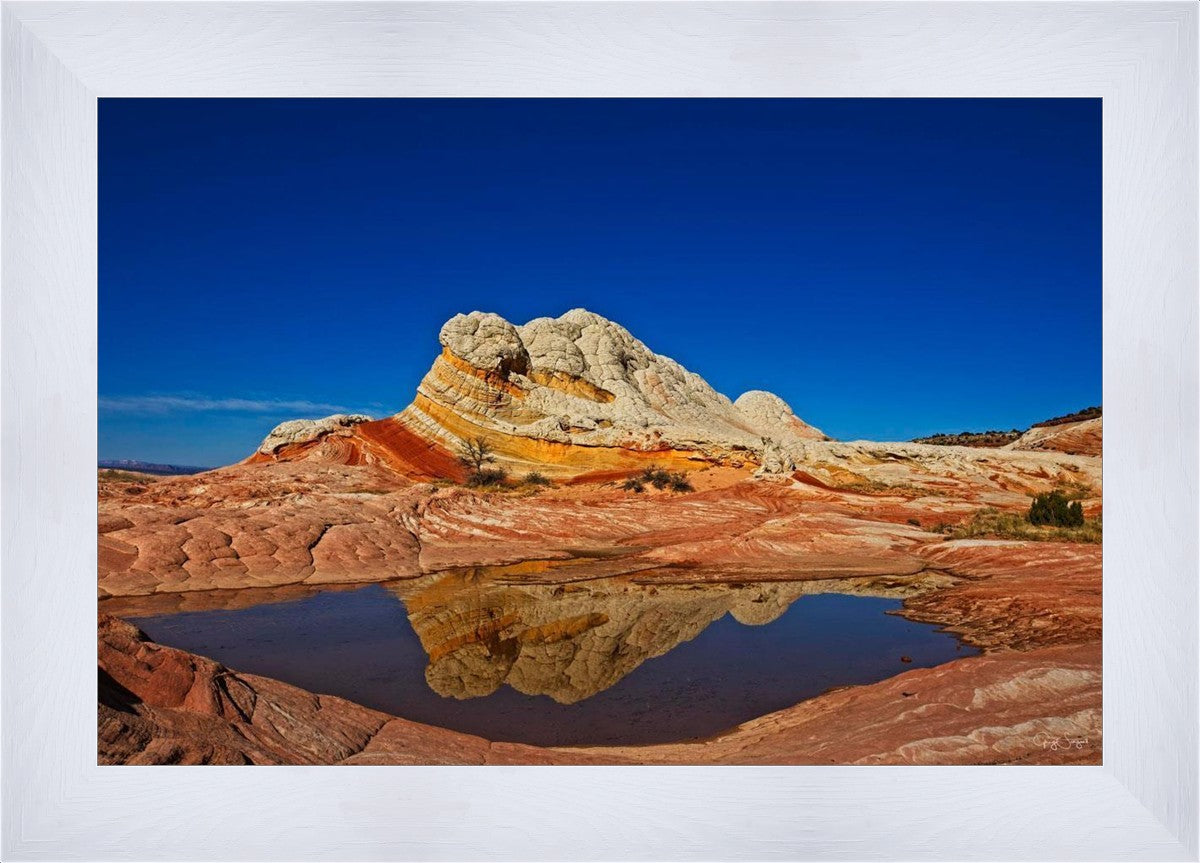 White Pocket Reflection