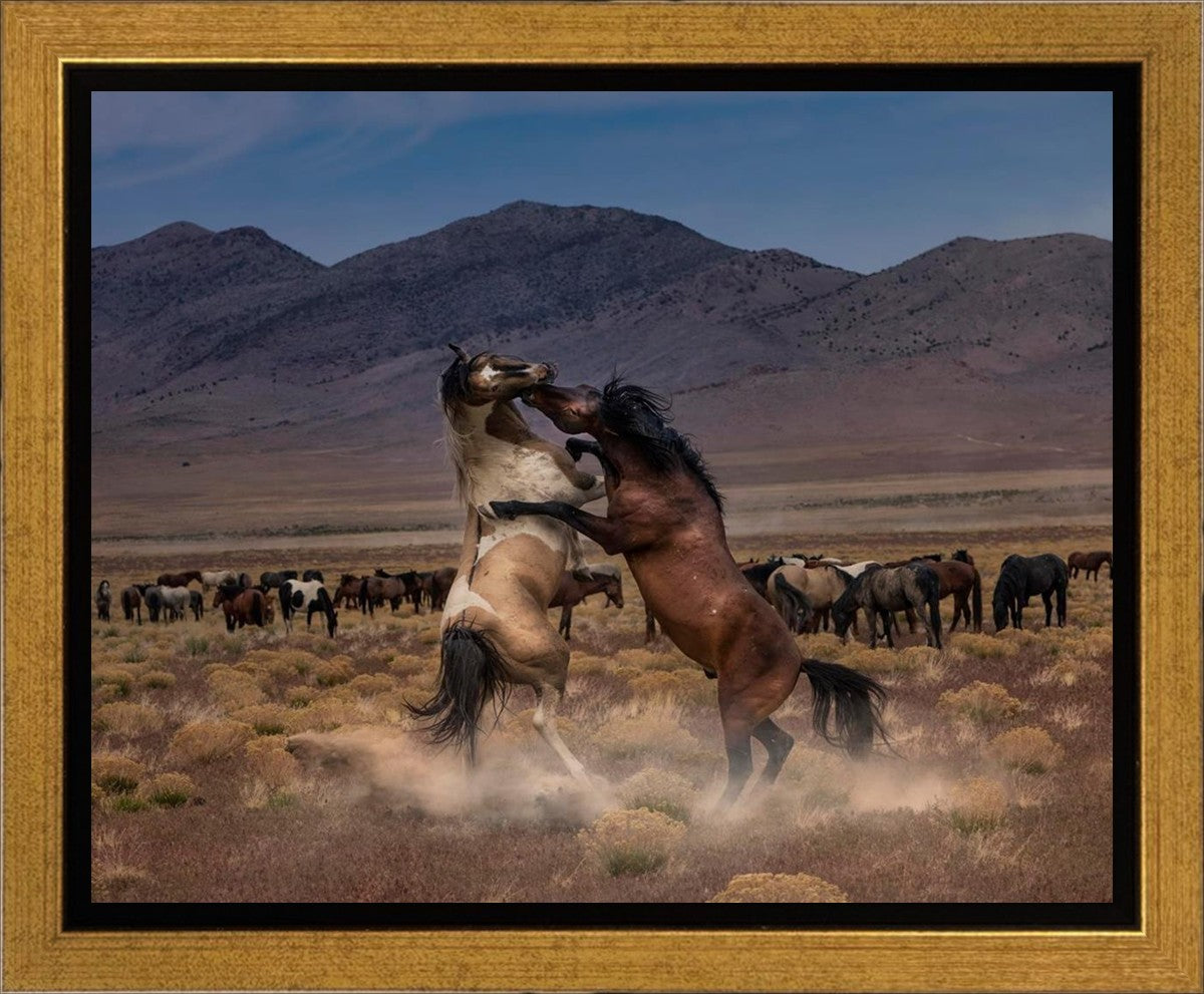 Desert Duel Gallery Wrap
